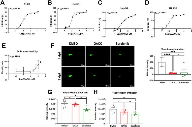 GACC Fig 2 — Zebrafish xenograft and hepatotoxicity readouts